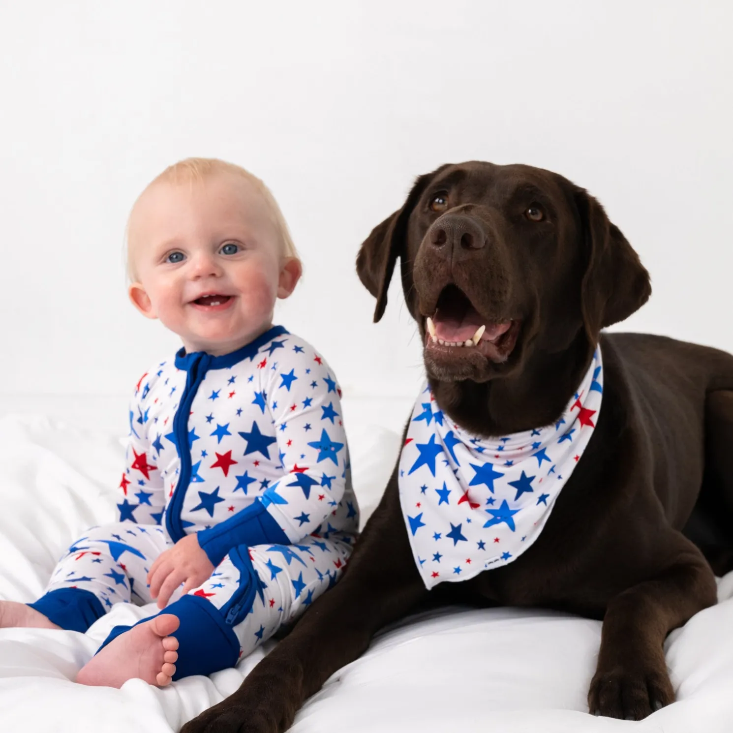 Bright Stars Pet Bandana