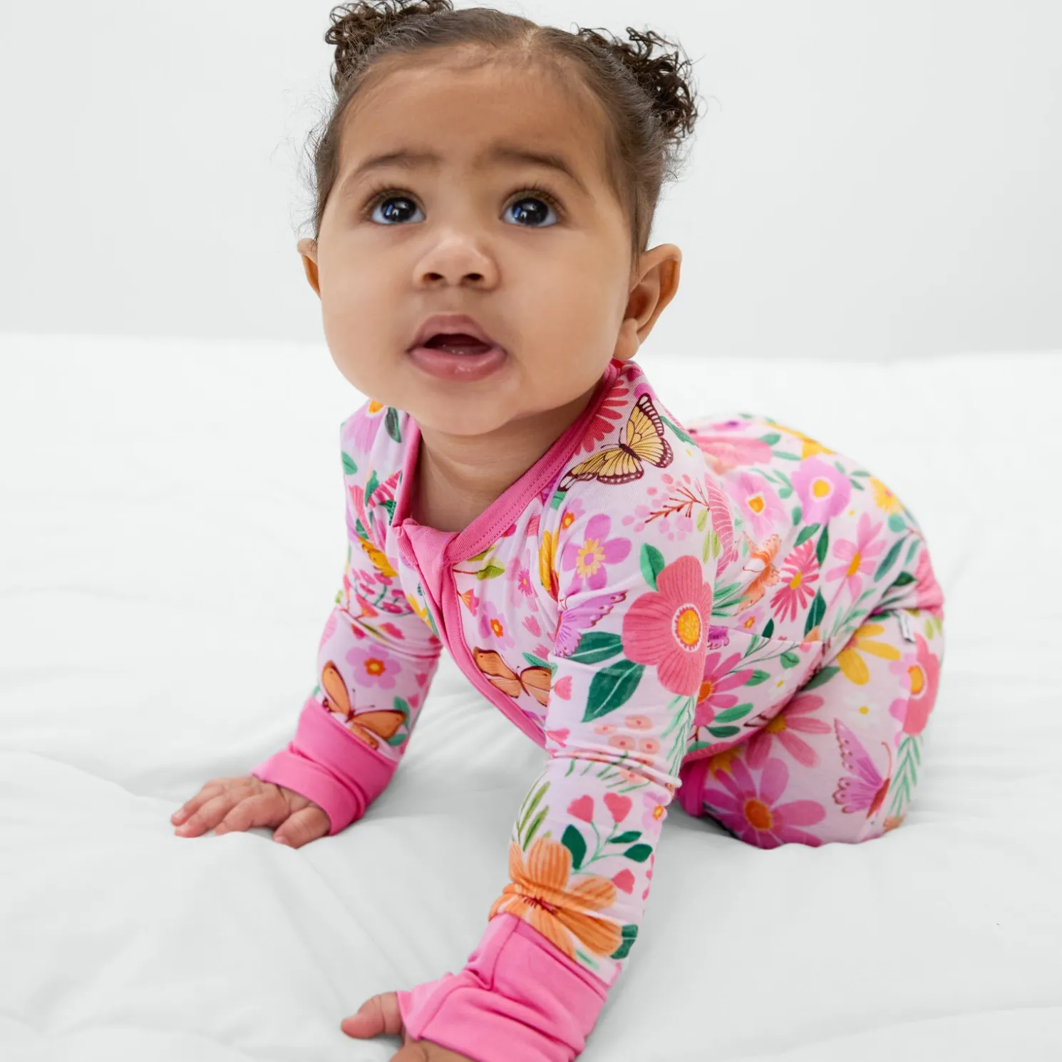 Butterfly Blooms Zippy