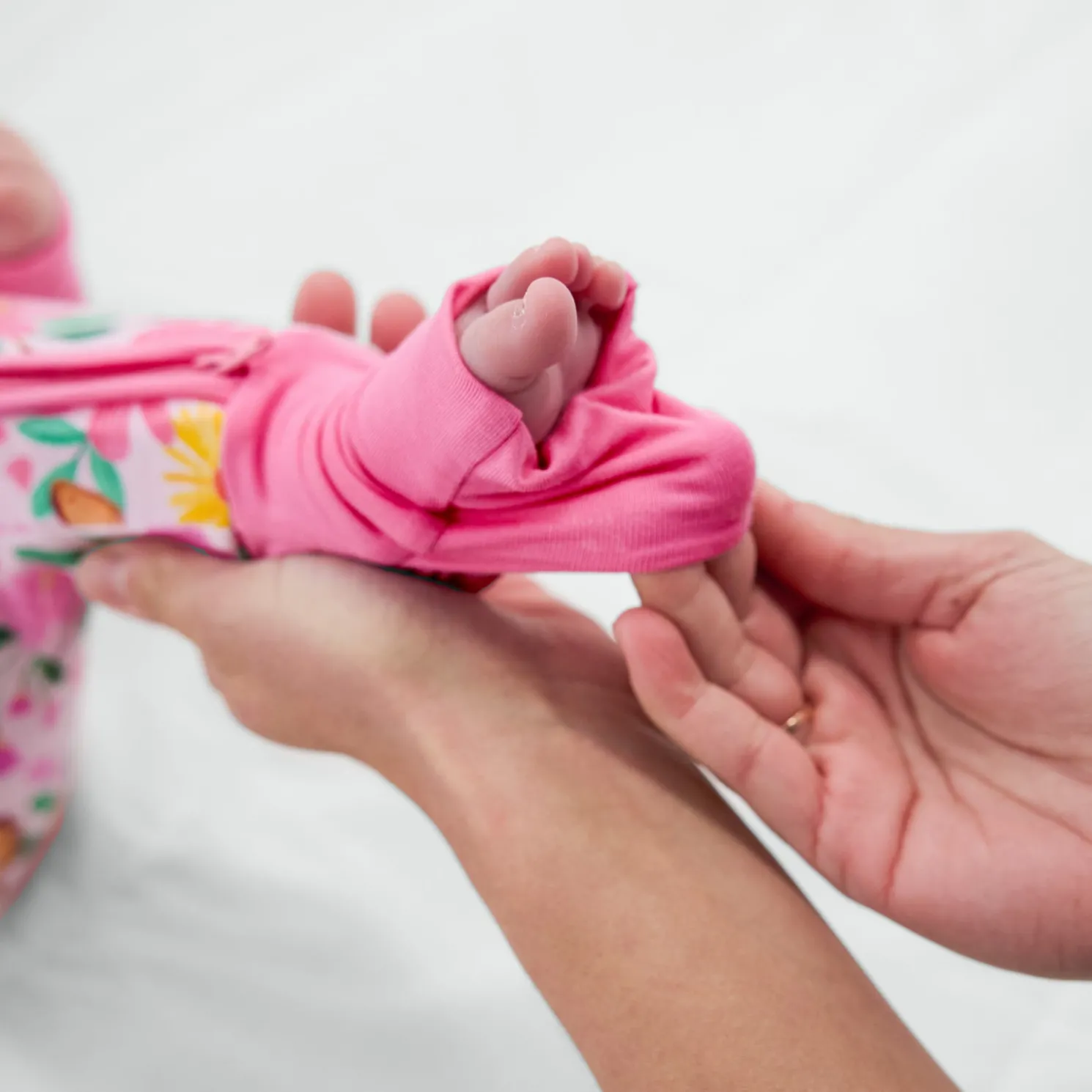 Butterfly Blooms Zippy