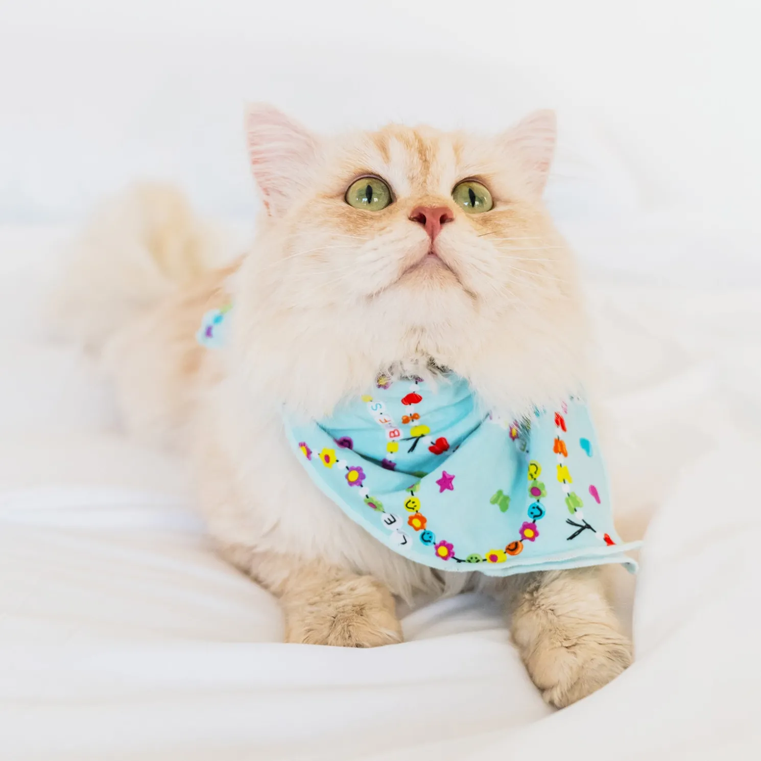 Friends Forever Pet Bandana