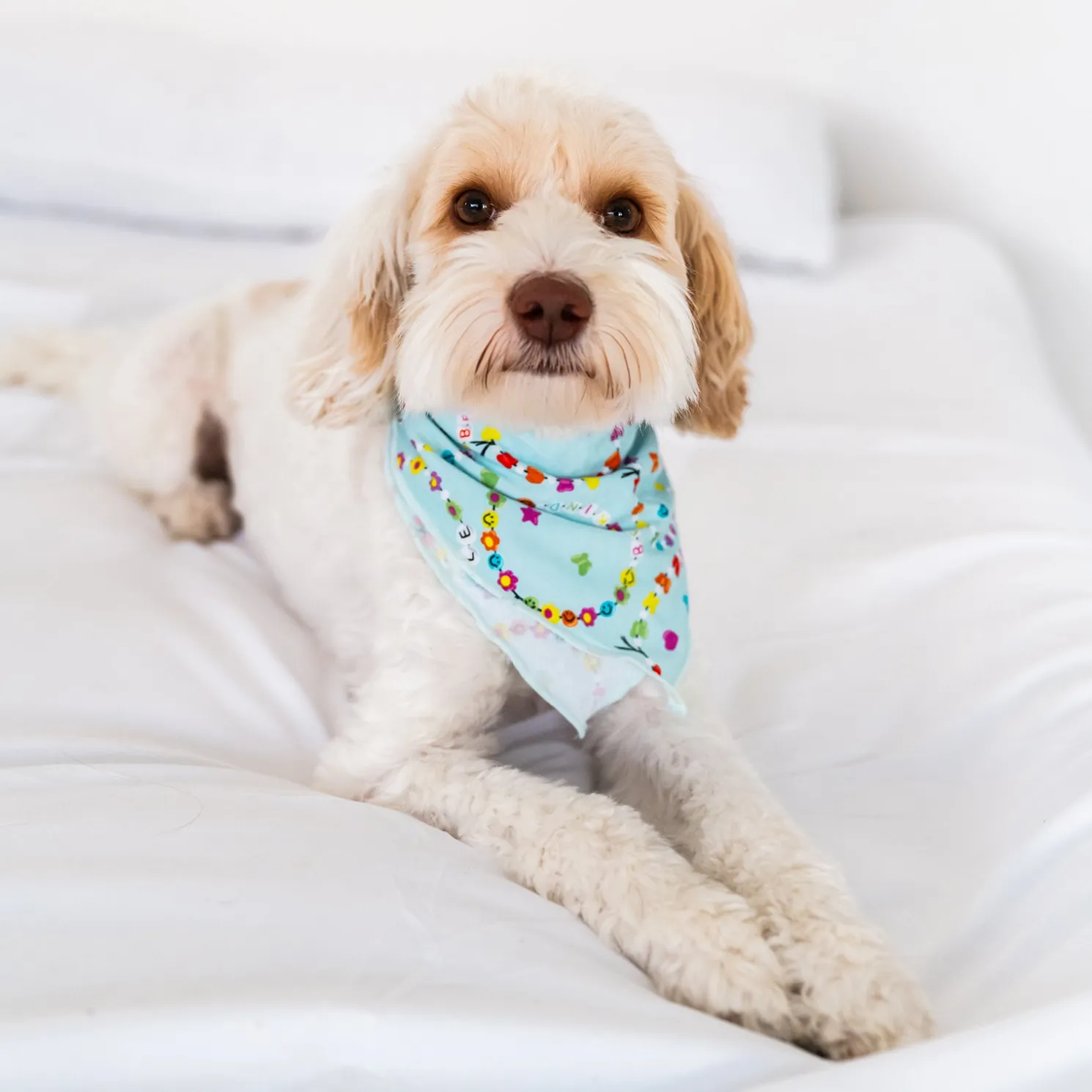 Friends Forever Pet Bandana