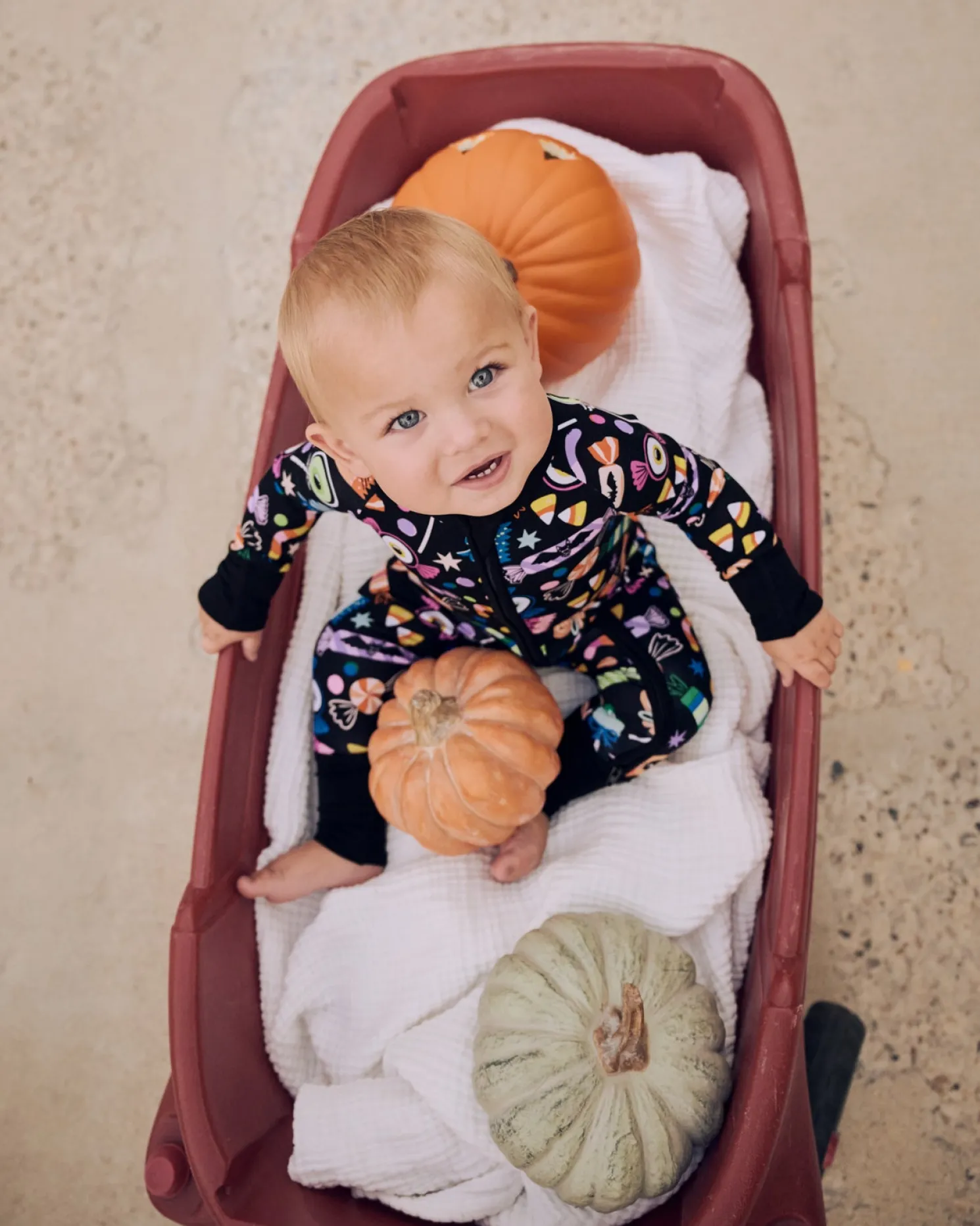 Halloween Haul Zippy