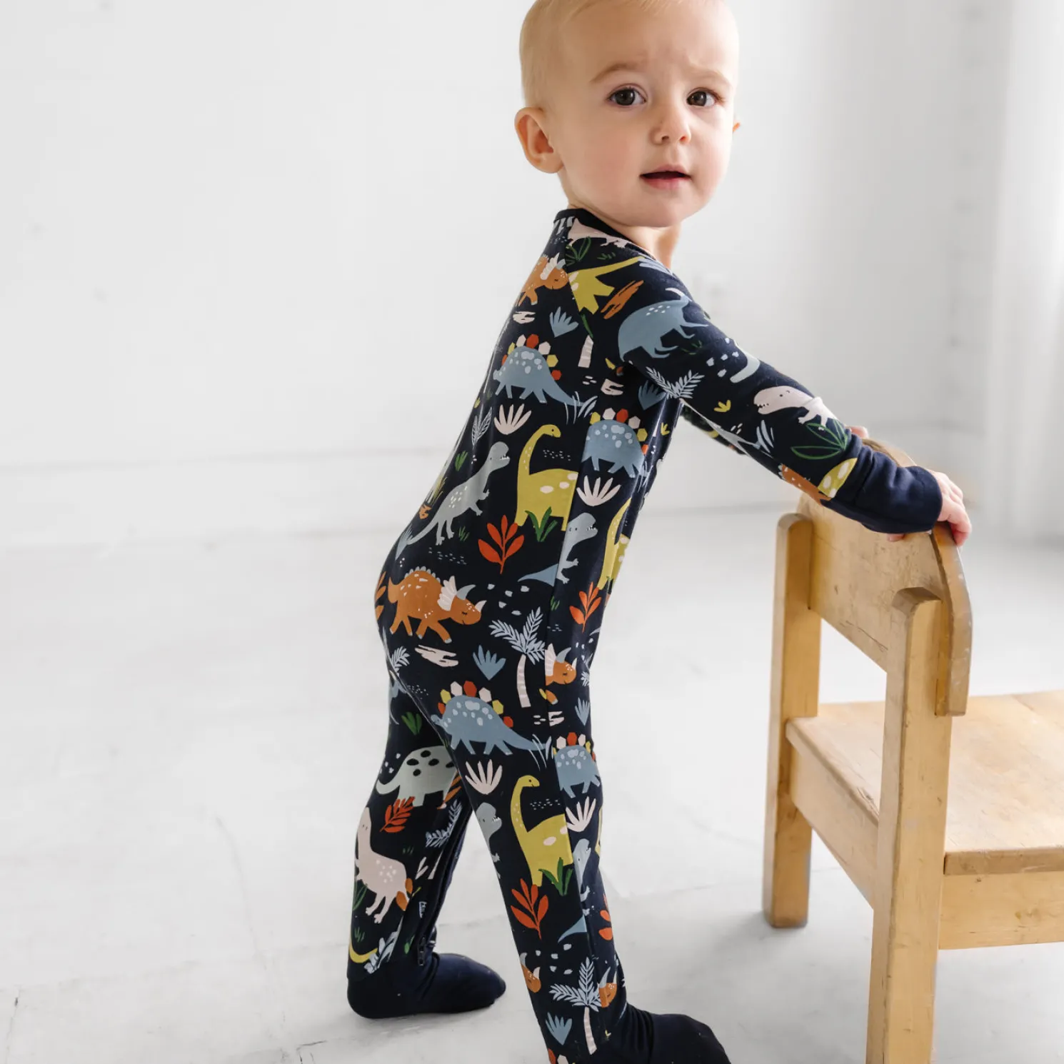 Jurassic Jungle Zippy