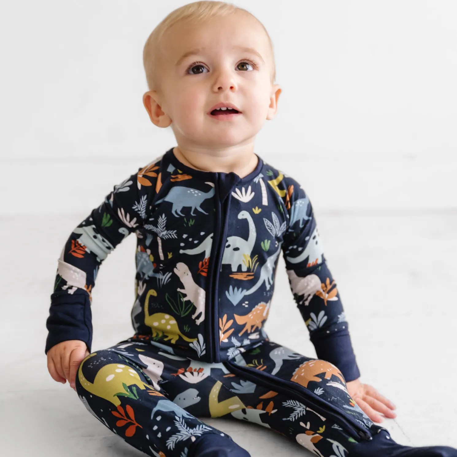 Jurassic Jungle Zippy