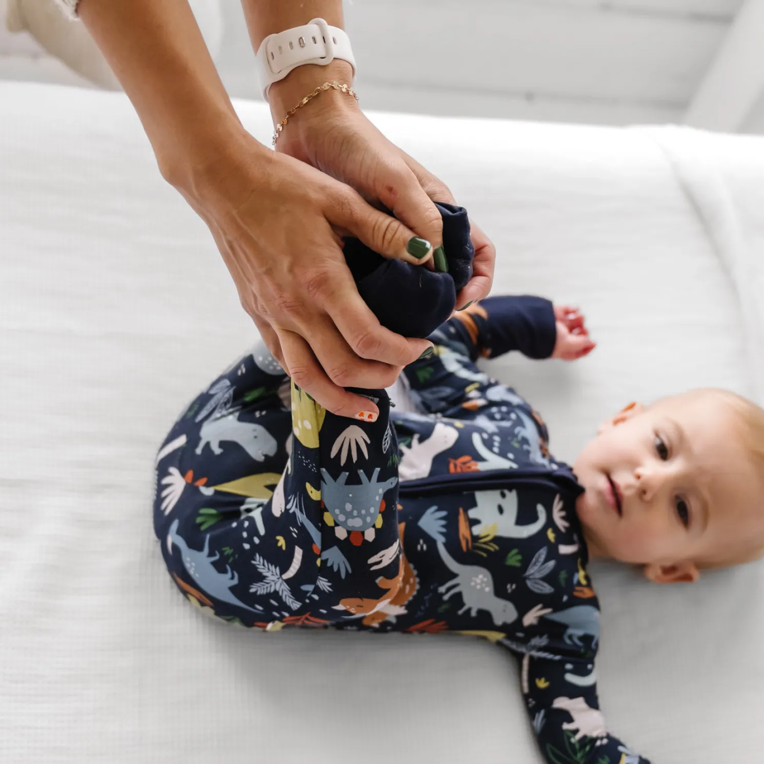 Jurassic Jungle Zippy