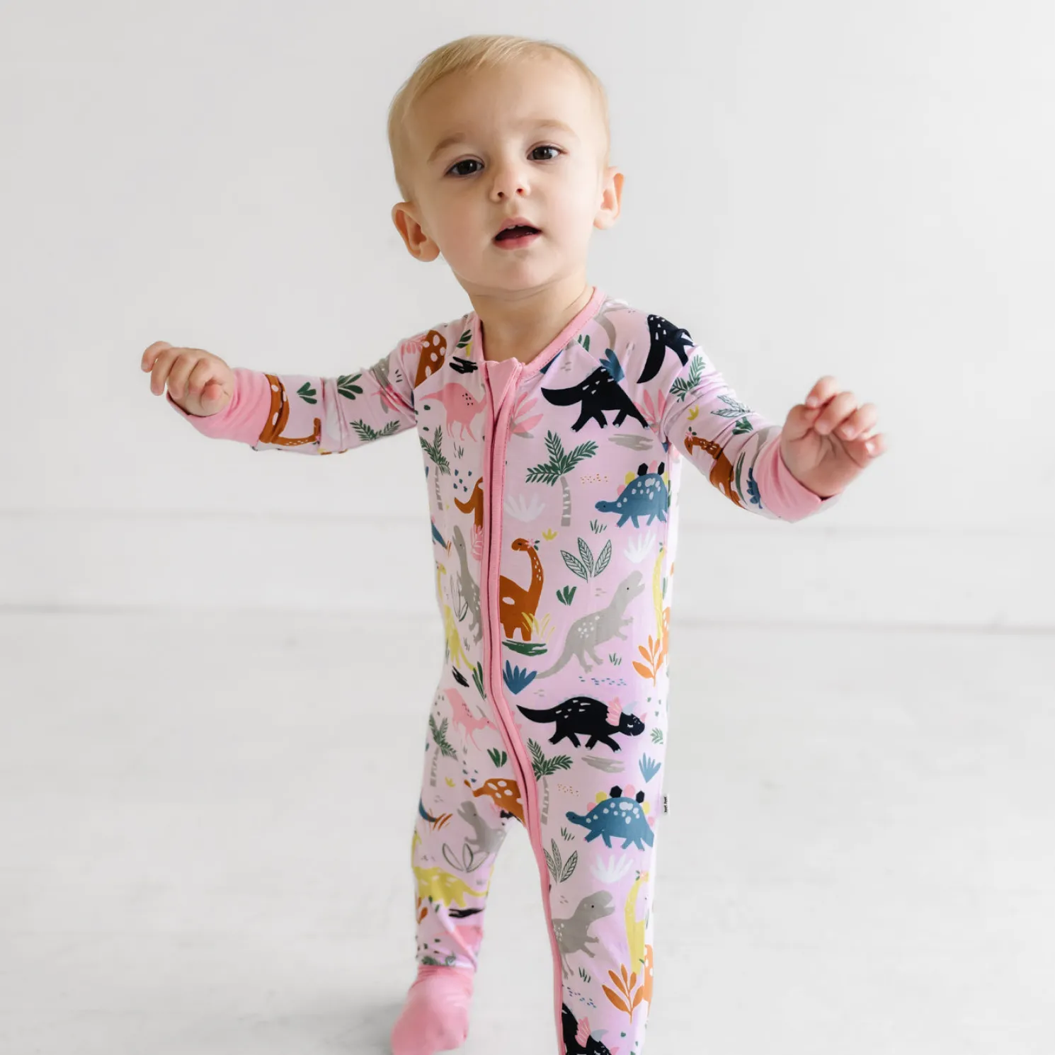 Jurassic Jungle Zippy