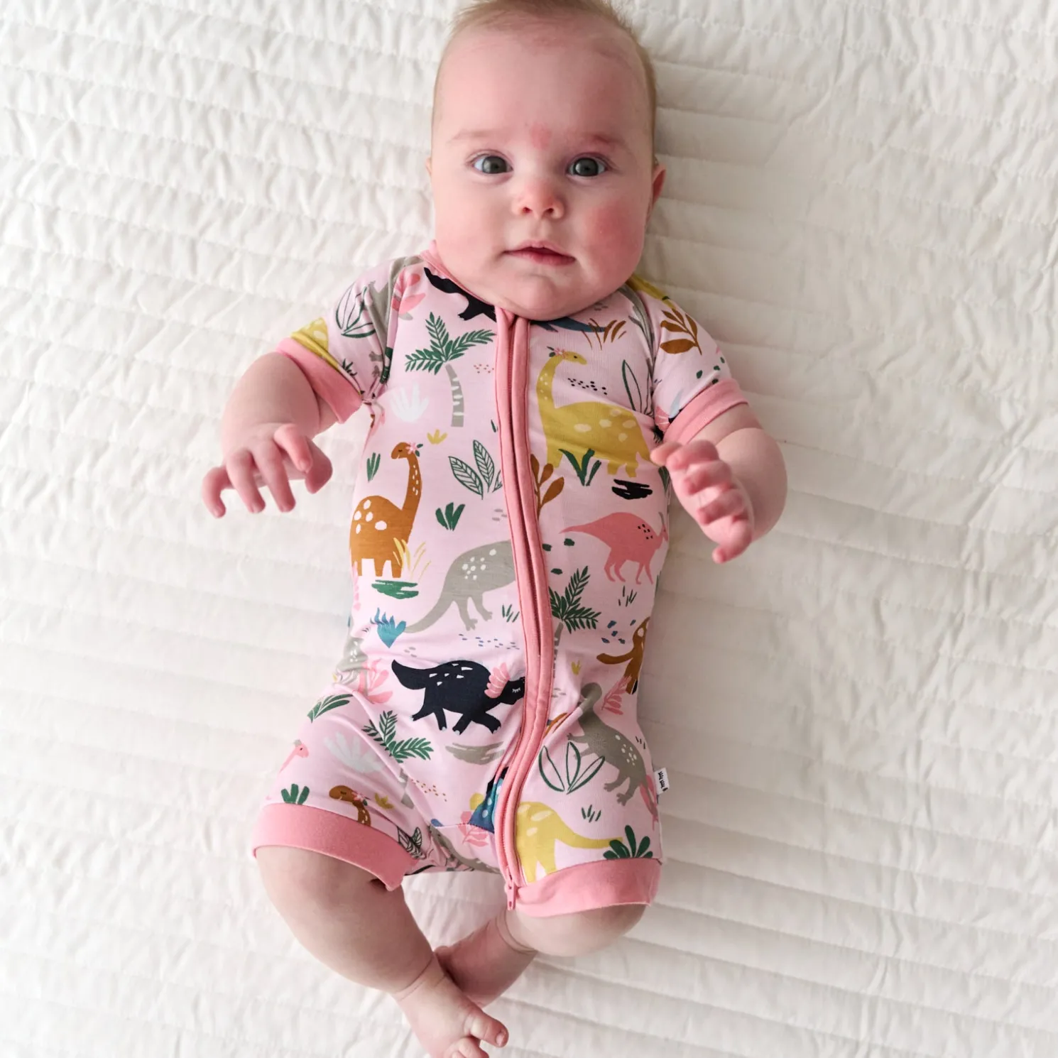 Jurassic Jungle Shorty Zippy