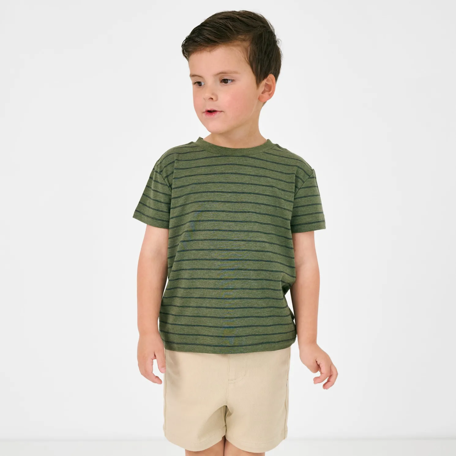 Olive Stripes Relaxed Tee