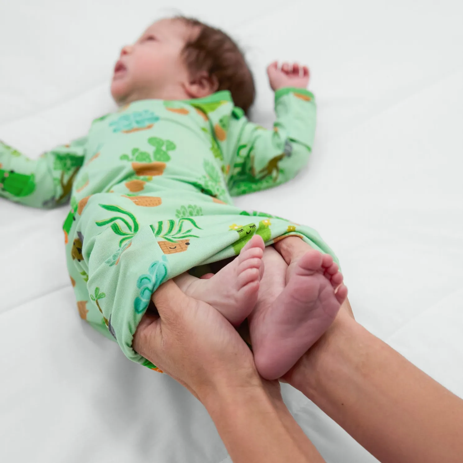 Succulent Love Infant Gown