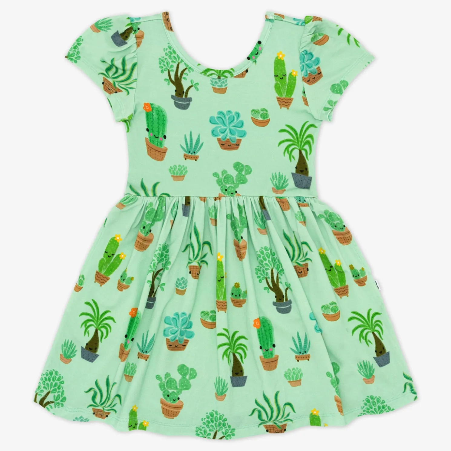 Succulent Love Skater Dress