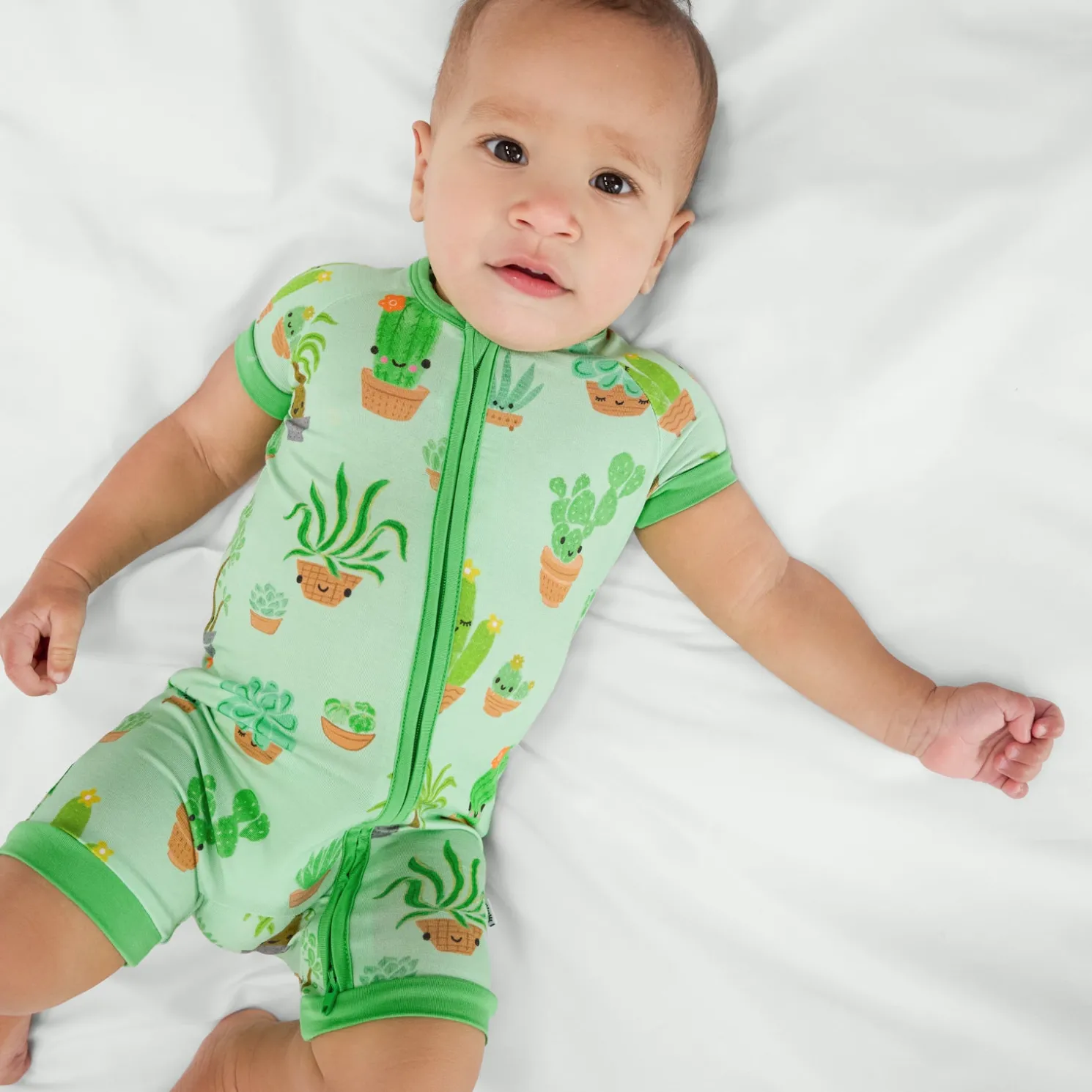 Succulent Love Shorty Zippy