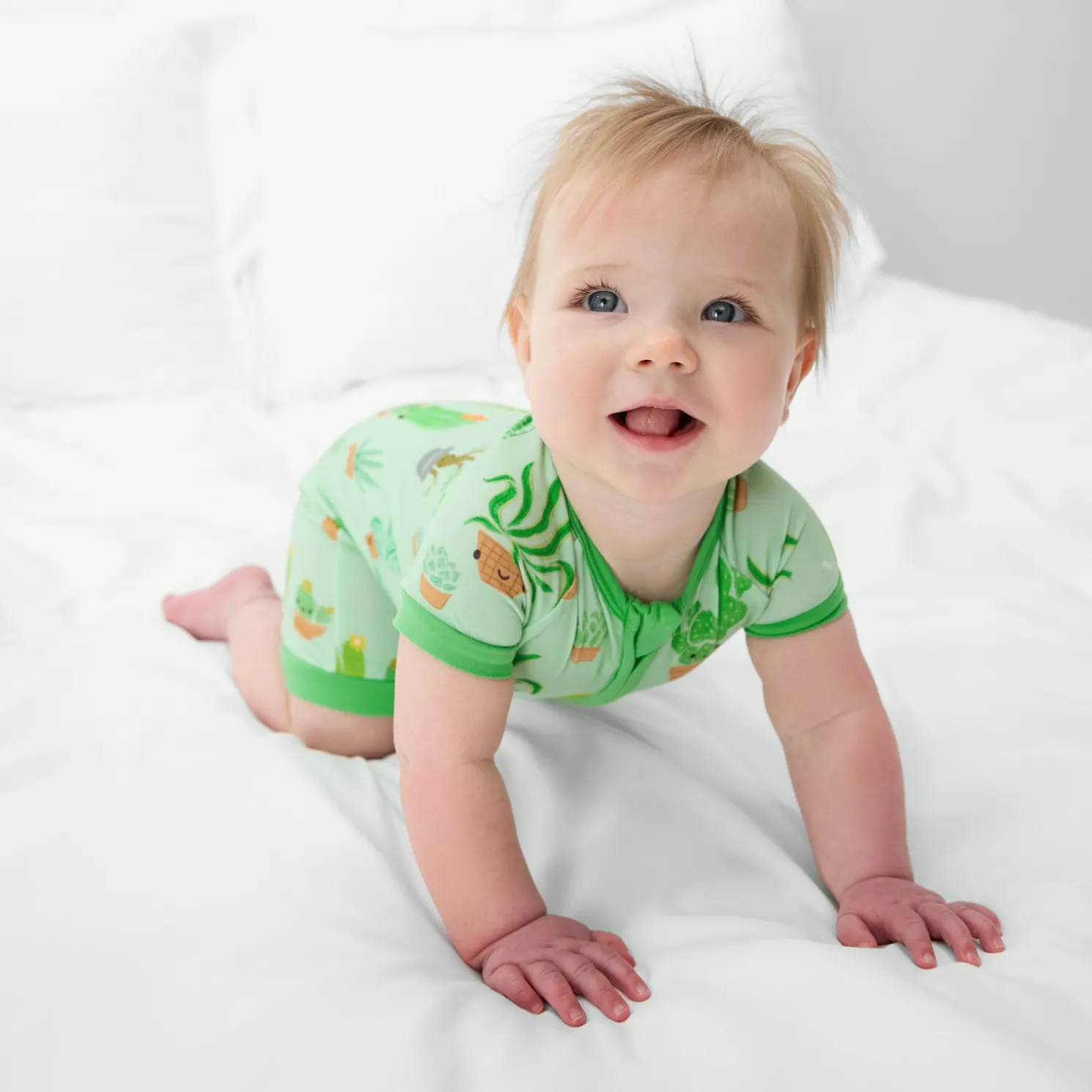 Succulent Love Shorty Zippy