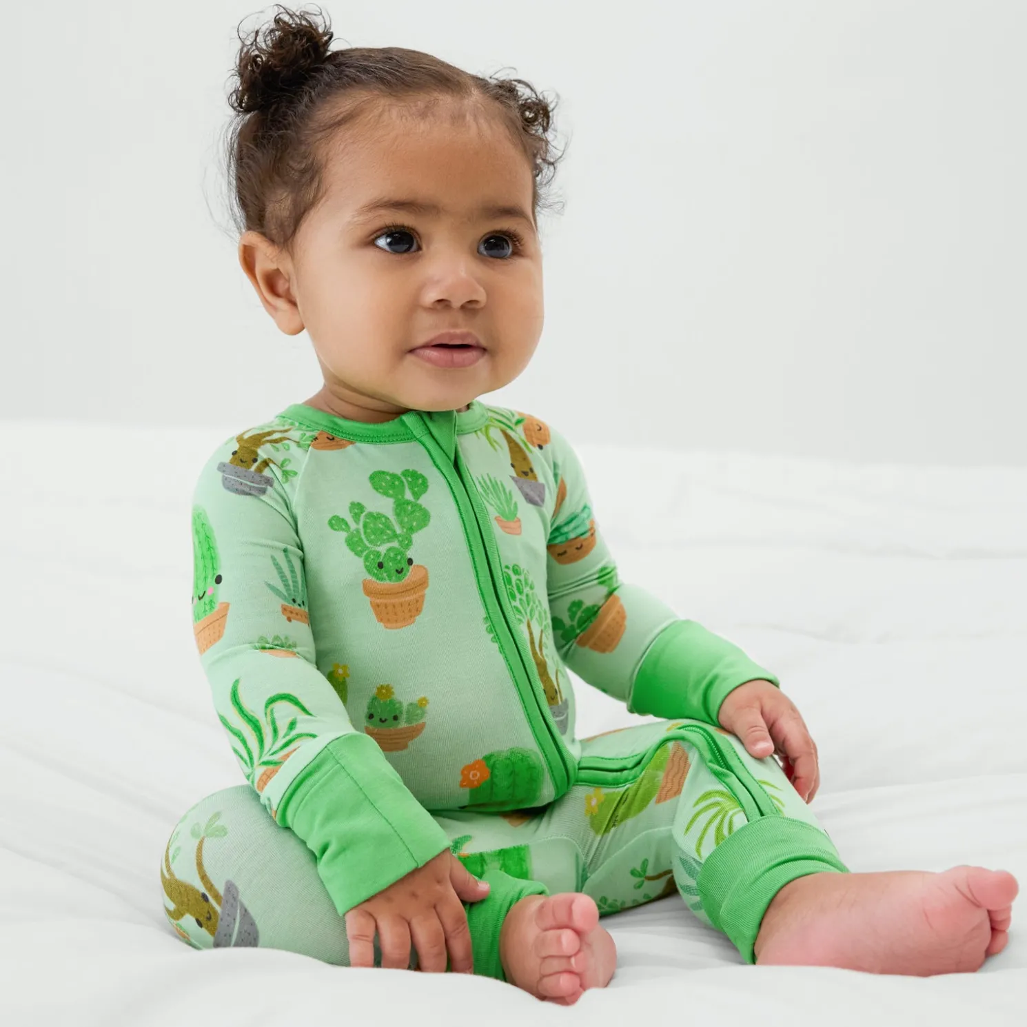 Succulent Love Zippy