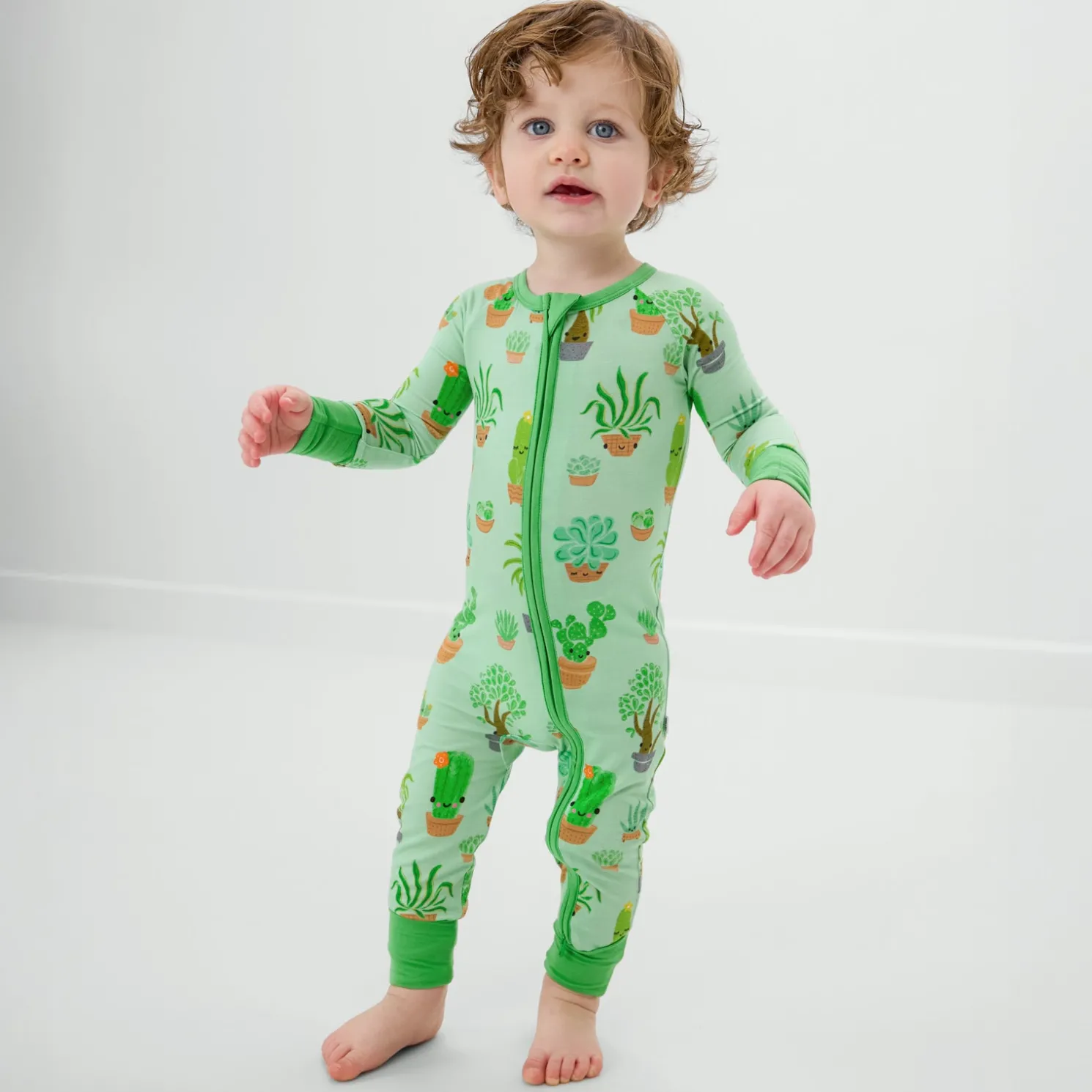 Succulent Love Zippy