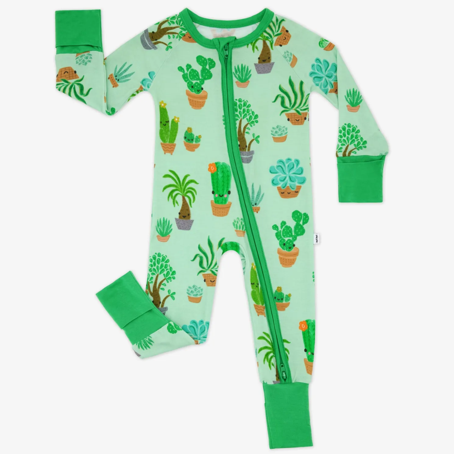 Succulent Love Zippy