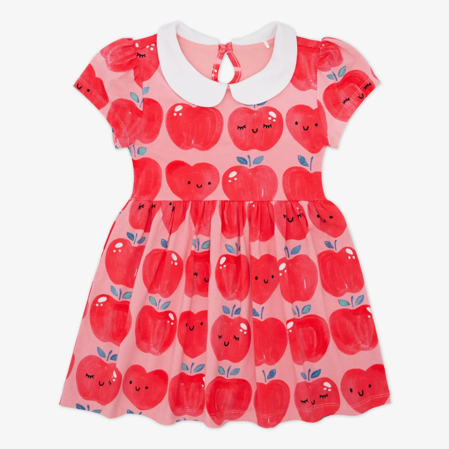 Sweet Orchard Collar Skater Dress