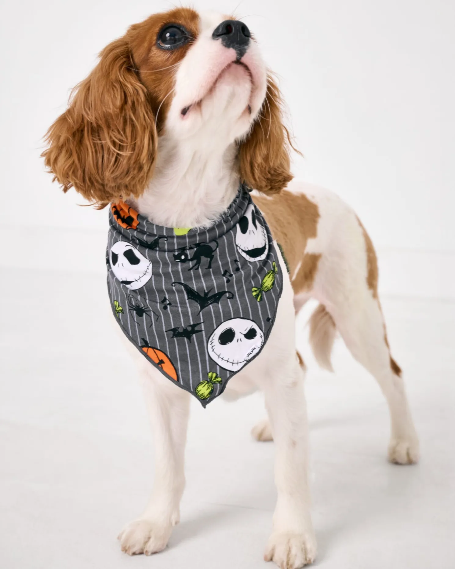 The Nightmare Before Christmas Pet Bandana