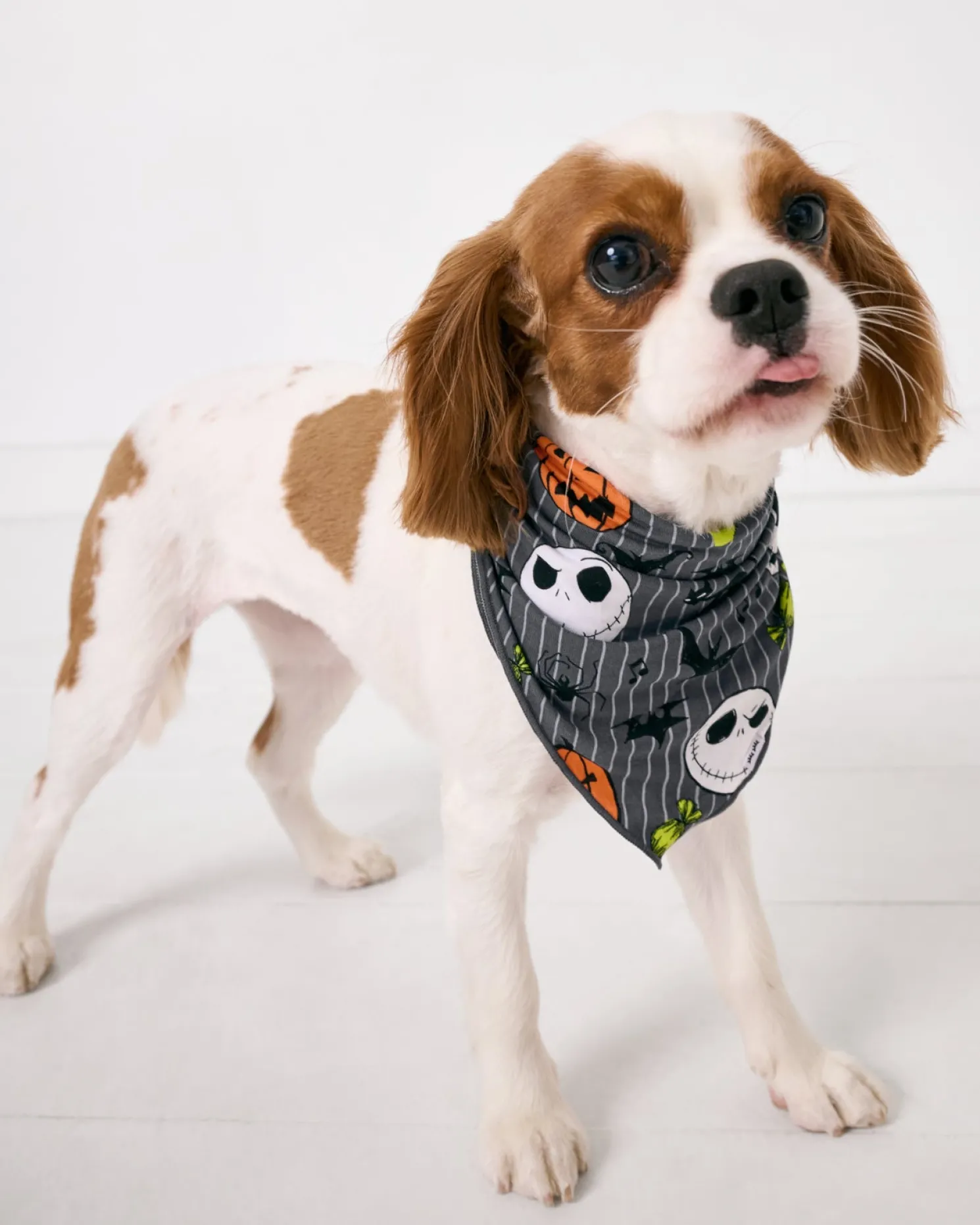 The Nightmare Before Christmas Pet Bandana